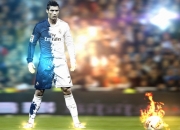 开云体育APP下载-西决生死战之夜，布鲁诺大场面先生