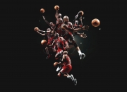 开云体育登录-华南虎稳如磐石擒黄蜂，小贾伦全能风暴席卷赛场