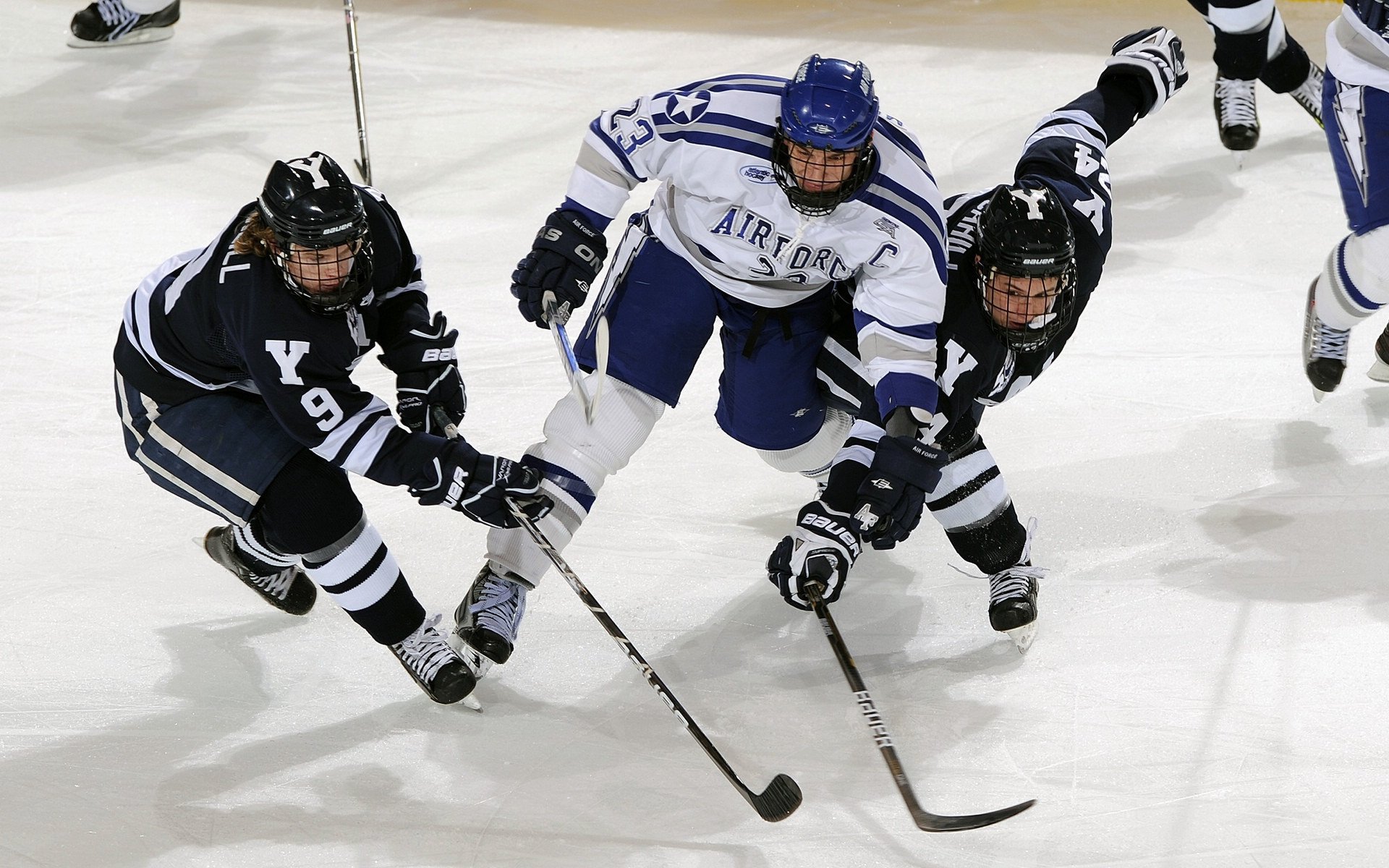 联合杯绝杀澳网，德约科维奇的统治力如何定义网球新时代